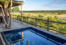 Dream Hotels & Resorts celebrates first crossings of the Mjejane Bridge into the Kruger