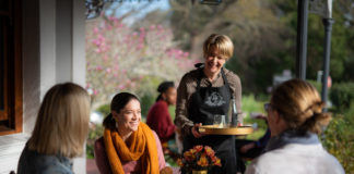 Visit Stellenbosch’s innovative 3-month campaign injected R7m into the local economy