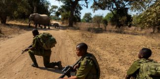 ATW throws support behind the inaugural World Female Ranger Day this 23rd June