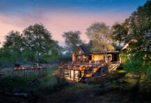 New Residences portfolio expands the MORE Family Collection