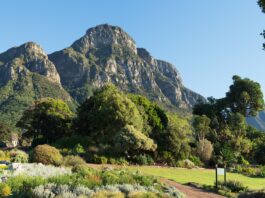 Kirstenbosch National Botanical Gardens