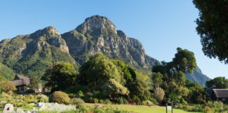 ILTM Africa 2023 returns to award-winning South African nature location Kirstenbosch National Botanical Gardens