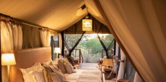 New-Look upgrade for Kwafubesi Tented Safari Camp Kwafubesi Tented Safari Camp
