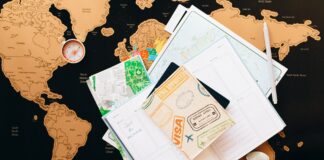 South African Visa applicants face struggles: Here is how to overcome them pexels-nataliya-vaitkevich-7235894