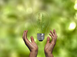 energy-saving-7462465_1920