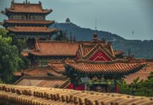 WTM Africa partners with China Travel Online to tap into Chinese outbound travel market pexels-lian-rodriguez-2915957 (1)