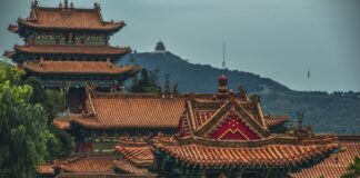 WTM Africa partners with China Travel Online to tap into Chinese outbound travel market pexels-lian-rodriguez-2915957 (1)