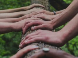 shane-rounce-DNkoNXQti3c-unsplash (1)