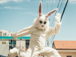 kenny-eliason-IF8B82QBCkM-unsplash (1)