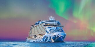 Norwegian Cruise Line capitalises on astrotourism trend hitting South Africa