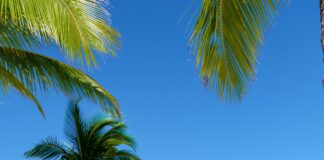 Mauritius Stole the Honeymoon Spotlight – and It’ll Steal Your Heart Too!