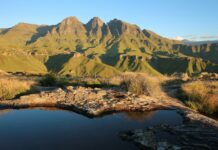Let your travels pay it forward beyond Mandela Month