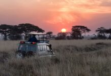 Why Tanzania is emerging as Africa’s most exciting destination for 2026