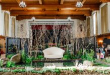 Garden Town Stellenbosch 2025 to Bloom Bigger Than Ever Garden Show_pond