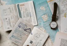 Green Light Ahead? Inside South Africa’s Passport Reforms South Africa passport on map