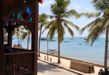 Digital Detox Destinations: Where to Truly Disconnect in December