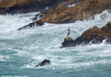 Adventure Tourism generates billions for South African economy as industry targets global market share SATSA Adventure 3.0. White Paper-Feb 2026 Mosselbay (1)