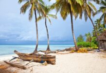 Essence of Africa to Set Sail for Zanzibar in 2026 Edition
