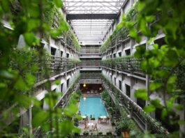 hotel with green plants
