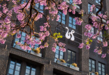Hyde Johannesburg Rosebank achieves Green Key Certification, setting a new standard for Sustainable Urban Hospitality Hyde-Johannesburg-Exterior-1