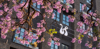 Hyde Johannesburg Rosebank achieves Green Key Certification, setting a new standard for Sustainable Urban Hospitality Hyde-Johannesburg-Exterior-1