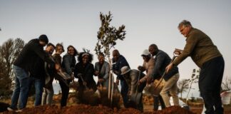 Sigma’s Green Lung Movement Expands to KZN, as Brahman Hills’ World-Class Serenity Labyrinth Takes Shape Sigma’s Green Lung Movement Expands to KZN