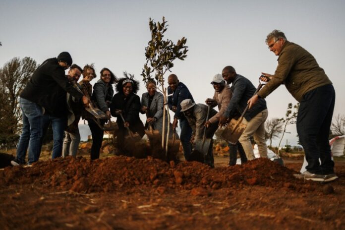 Sigma’s Green Lung Movement Expands to KZN (1) (1) Sigma’s Green Lung Movement Expands to KZN