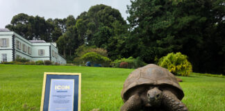 St Helena Welcomes Global Recognition as Jonathan Named a Guinness World Records ICON