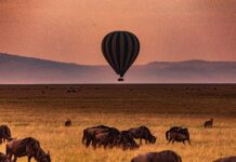 Why Kenya is the world’s greatest dopamine travel destination