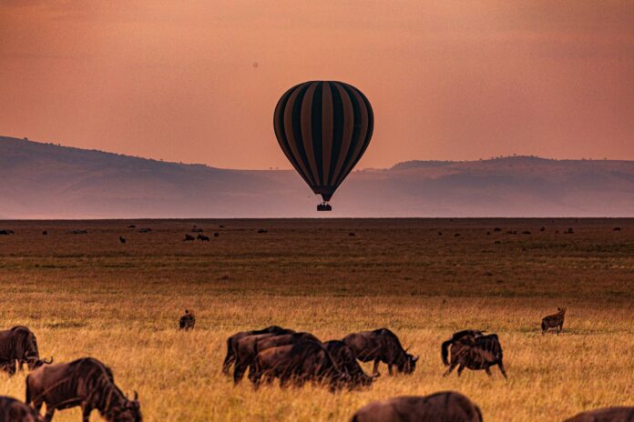 kenya-landscapes-magical-sunset-sunrise-dramatic-c-2026-03-10-02-02-58-utc