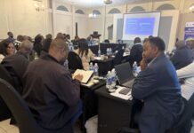 Victoria Falls hosts regional border customer service training