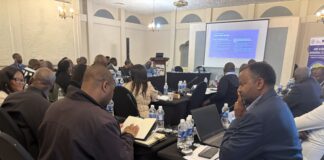 Victoria Falls hosts regional border customer service training